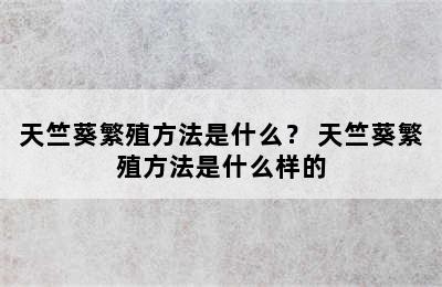 天竺葵繁殖方法是什么？ 天竺葵繁殖方法是什么样的